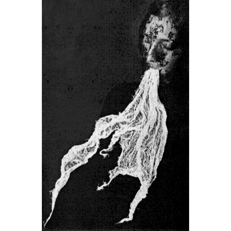 Faceless Entity - The Shape of Absence